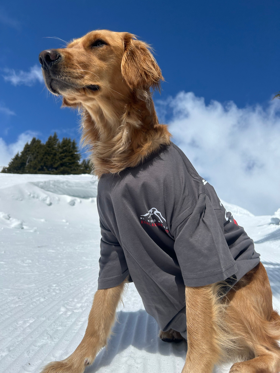 avy-dog-collection-mt-hood-meadows-gift-shop