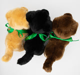 3 Avalanche dog plush top view.