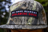 Camouflage cap with 'Mt. Hood Meadows Avalanche Dogs' patch against a blurred natural background