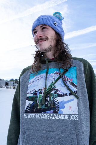 Person wearing a gray hoodie with a graphic design of avalanche dogs and mountain landscape.