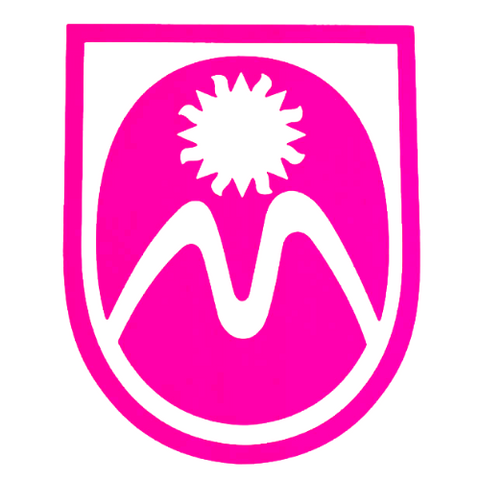 Shield Decal (Neon Pink)